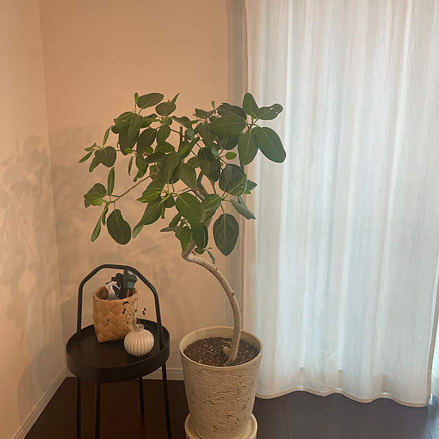 ankoさんの実例写真