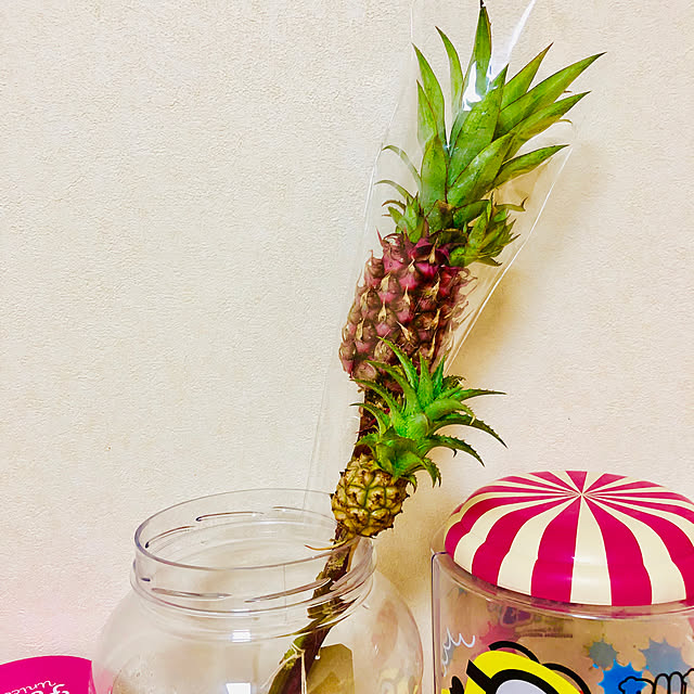 k1nak0さんの実例写真