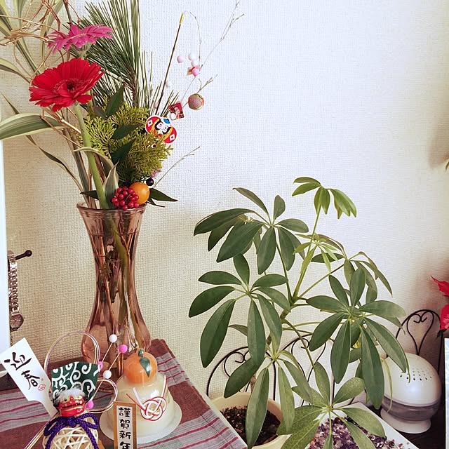 milkteamikaさんの実例写真