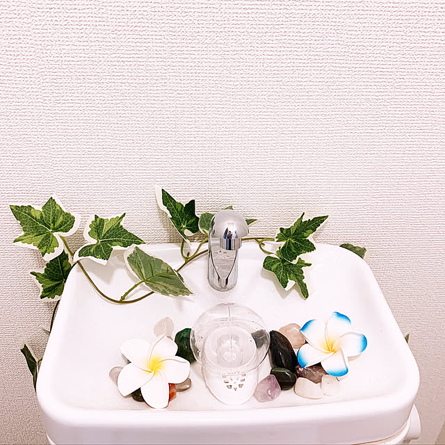 Asukaさんの実例写真