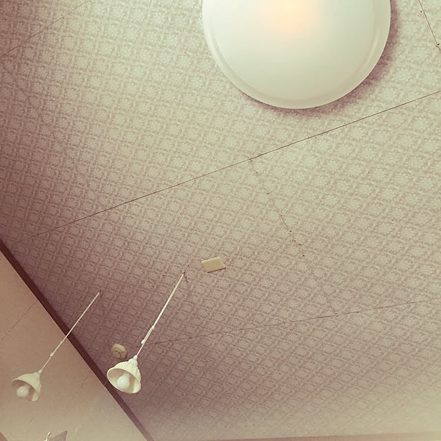 Ranさんの実例写真