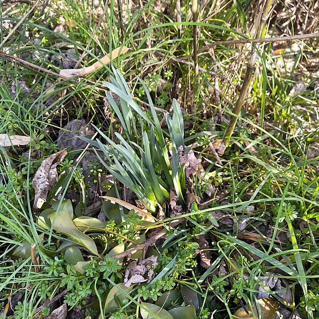 Rubiconさんの部屋