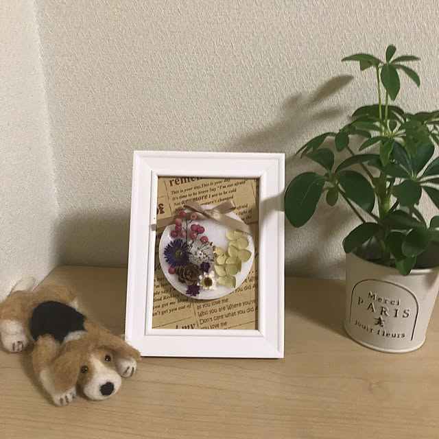 collonさんの実例写真
