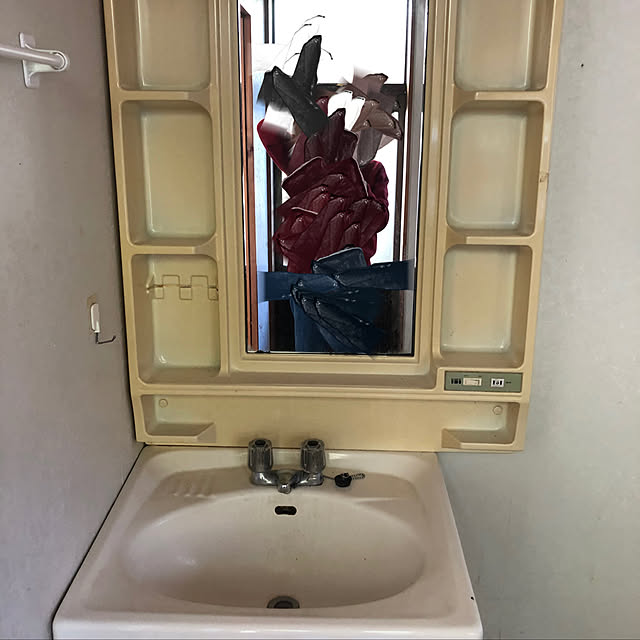 バス/トイレのインテリア実例 - 2021-02-11 21:21:47