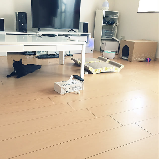 greencynosさんの実例写真