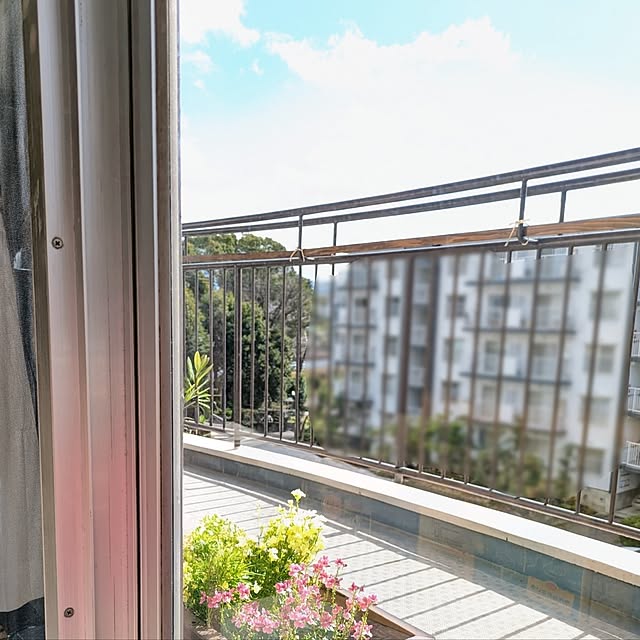 mi-saさんの部屋