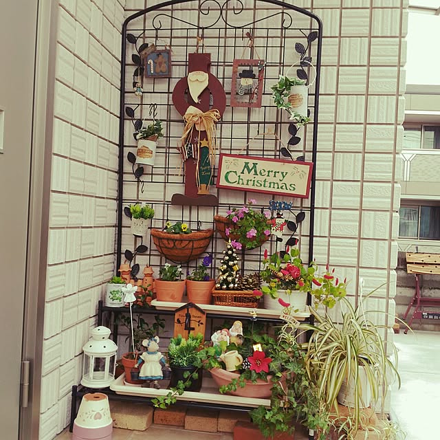 maiyukapiさんの実例写真