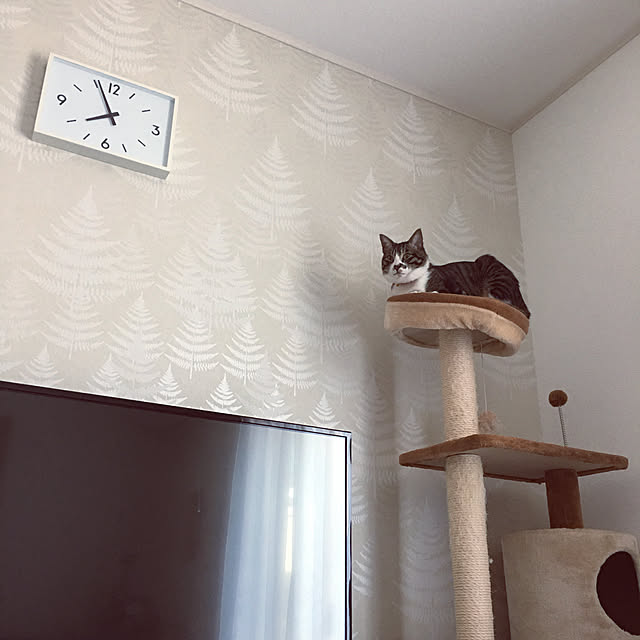 ippu0303Karinさんの実例写真