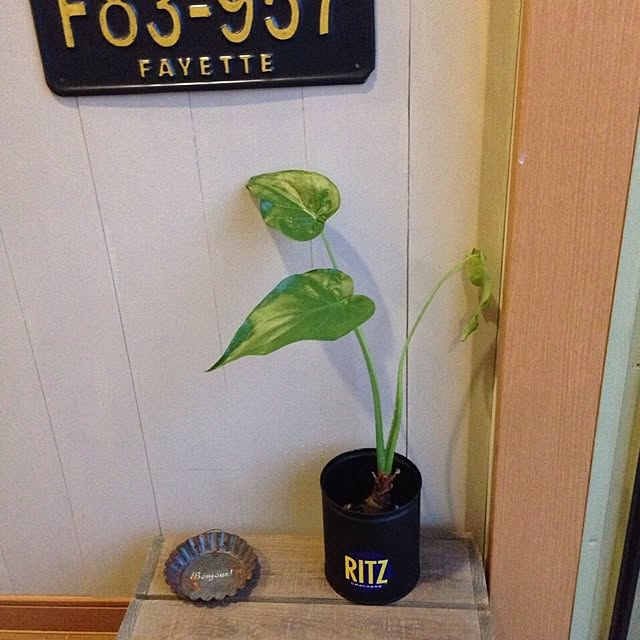miii777さんの実例写真