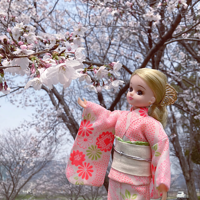 実例写真