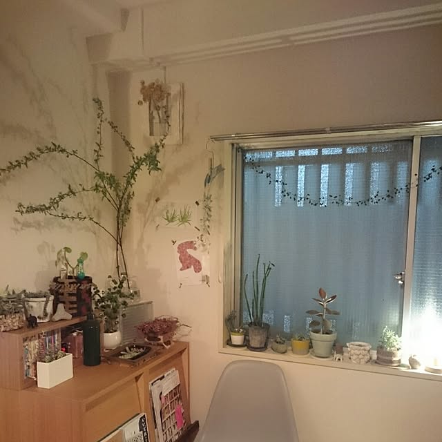 YUさんの実例写真