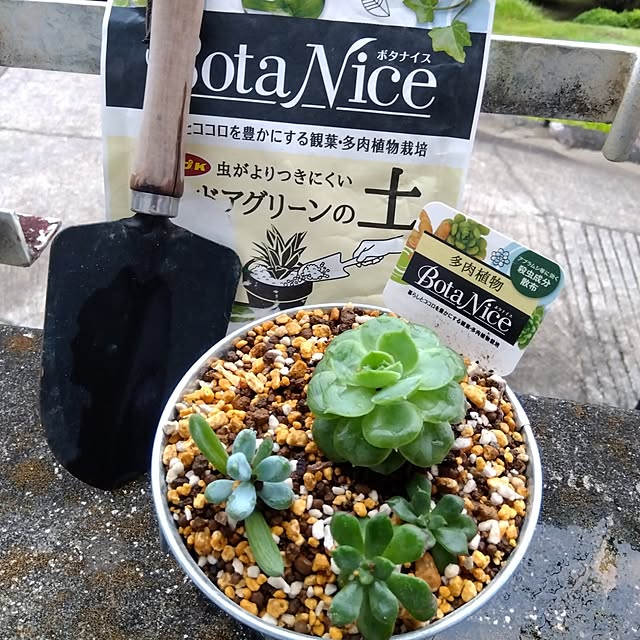 Motomeさんの実例写真
