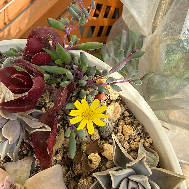 Aqettyさんの部屋