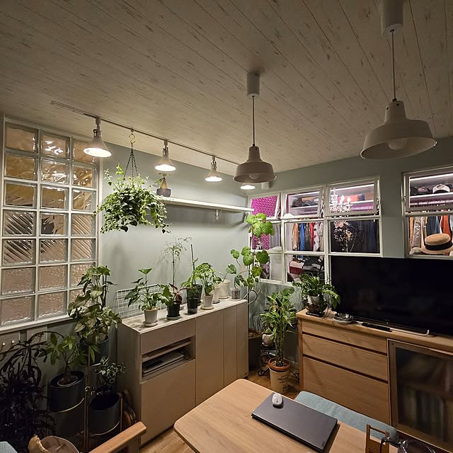 部屋全体/新生活/ウォークインクローゼット/セカンドリビング/観葉植物...などのインテリア実例 - 2024-04-29 21:23:21