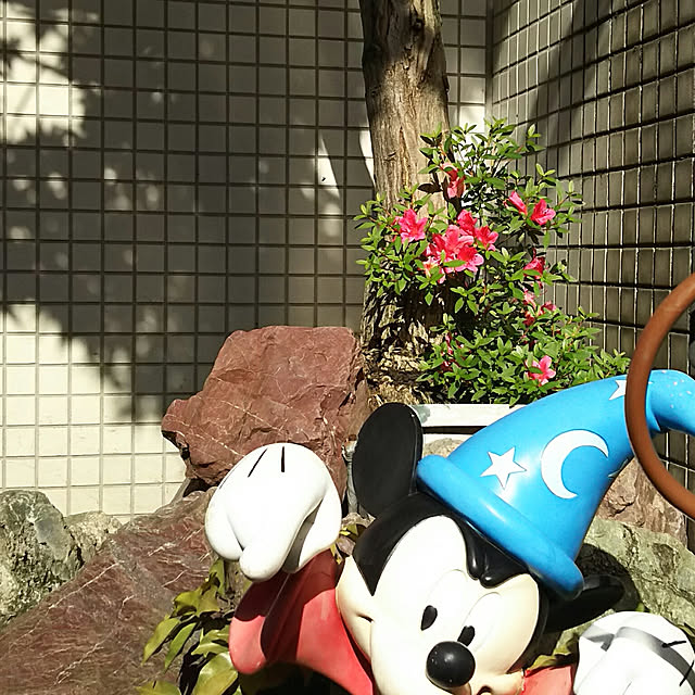 kumimmyさんの実例写真