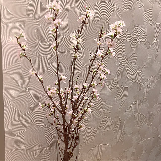 happy-homeさんの実例写真