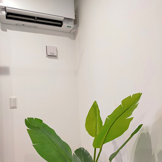 Dmamaさんの実例写真