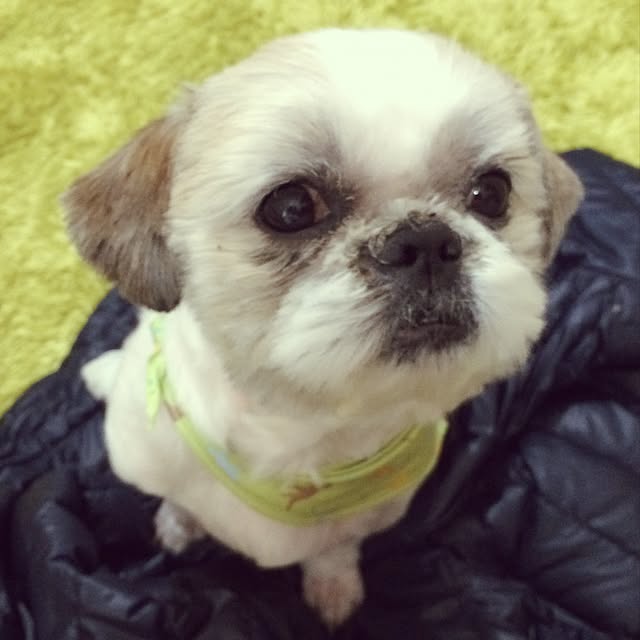 lenkaさんの実例写真