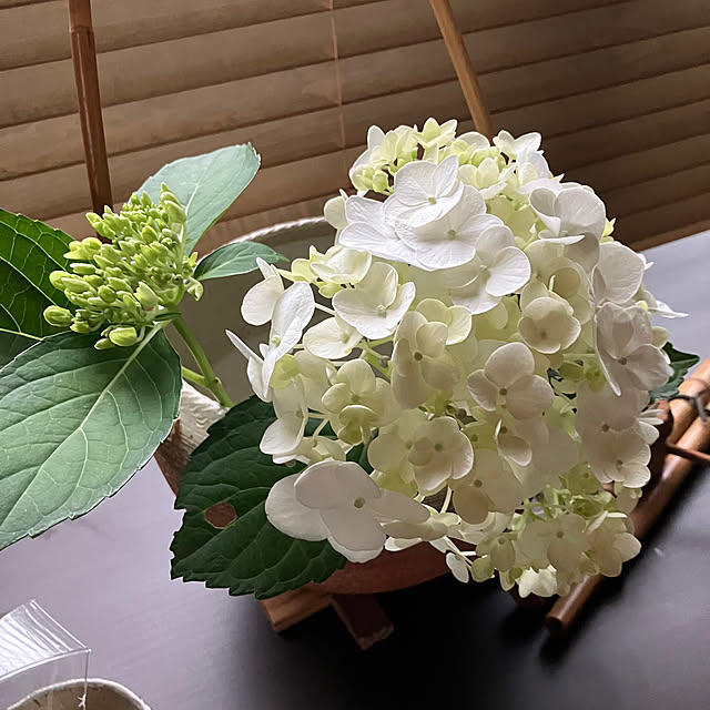 ikubooさんの部屋
