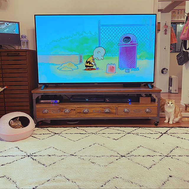 スコティッシュフォールド/天然木テレビボード/65インチ有機EL/Panasonic有機ELテレビ/レコーダー置き場...などのインテリア実例 - 2020-02-15 15:35:56