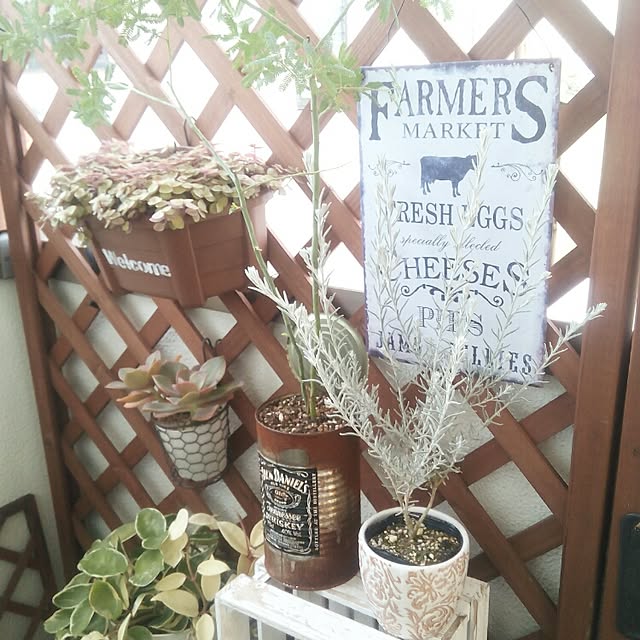 VERANDARJUNさんの実例写真