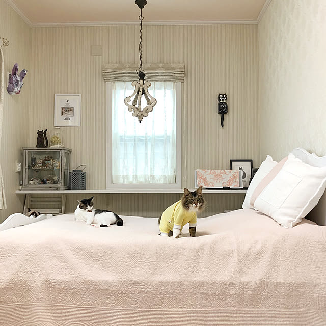 yuchiさんの実例写真