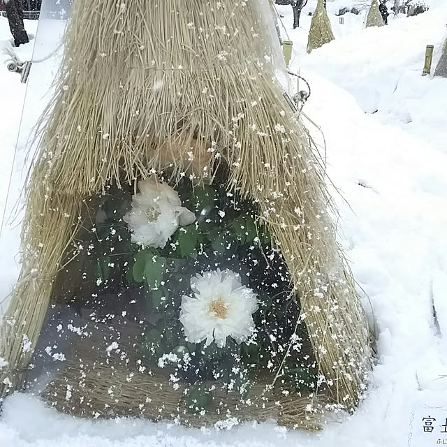 chiikokunさんの実例写真