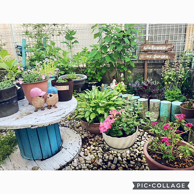 CoCo0617さんの実例写真