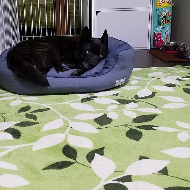 ronjonさんの実例写真