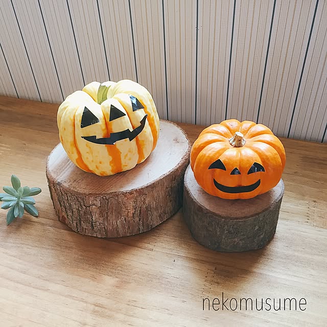 nekomusumeさんの実例写真