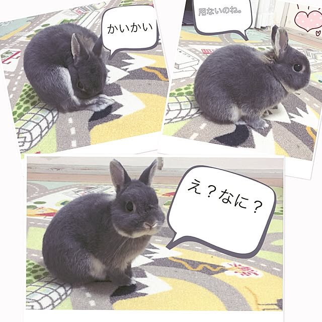 kusuttoさんの実例写真