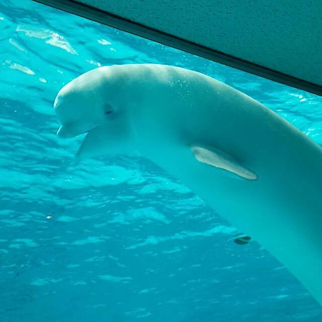 NaNanさんの実例写真
