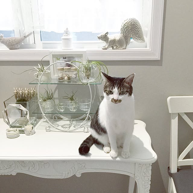 yuchiさんの実例写真