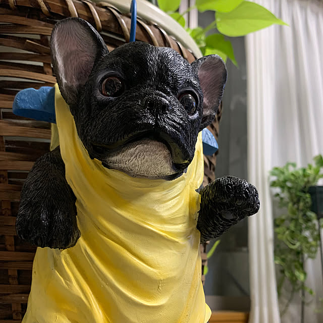 Aqettyさんの部屋
