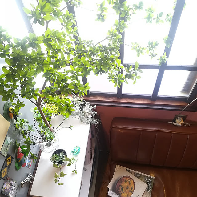 amanojakuさんの実例写真