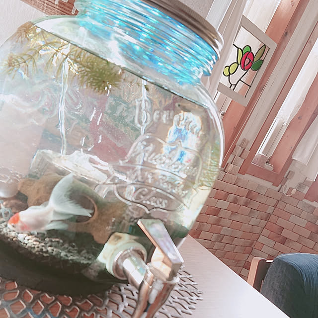 棚/ナチュラル/カフェ風/DIY/金魚...などのインテリア実例 - 2020-08-11 16:56:20