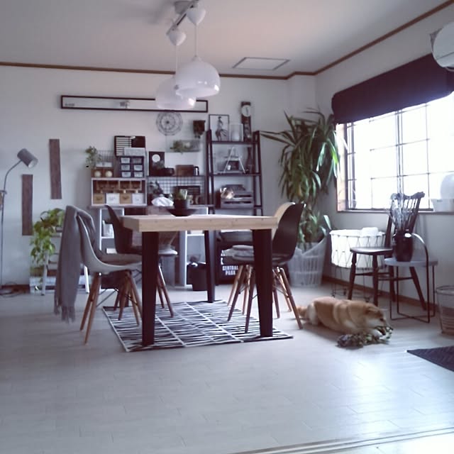 kさんの実例写真