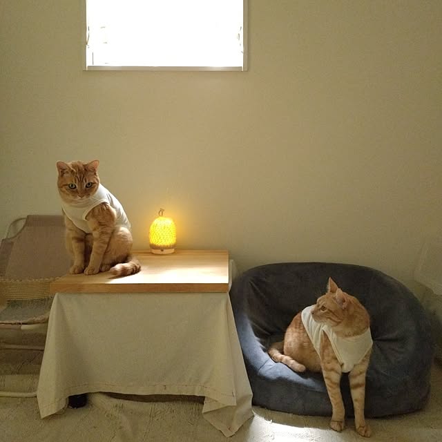 mayutan.さんの実例写真