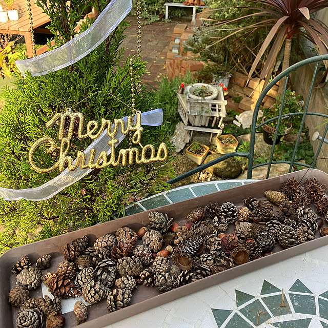 tararaさんの部屋