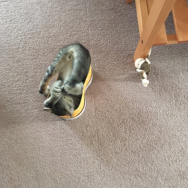 mikomaruさんの実例写真