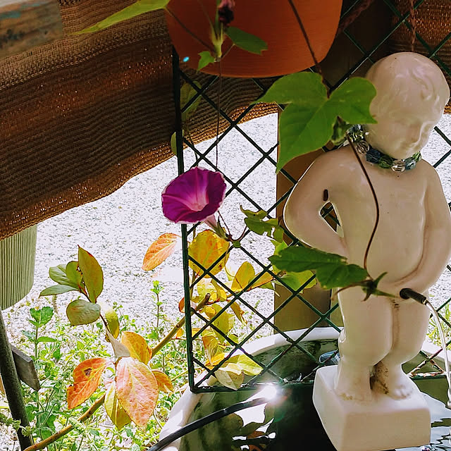 hitomilove1130さんの実例写真