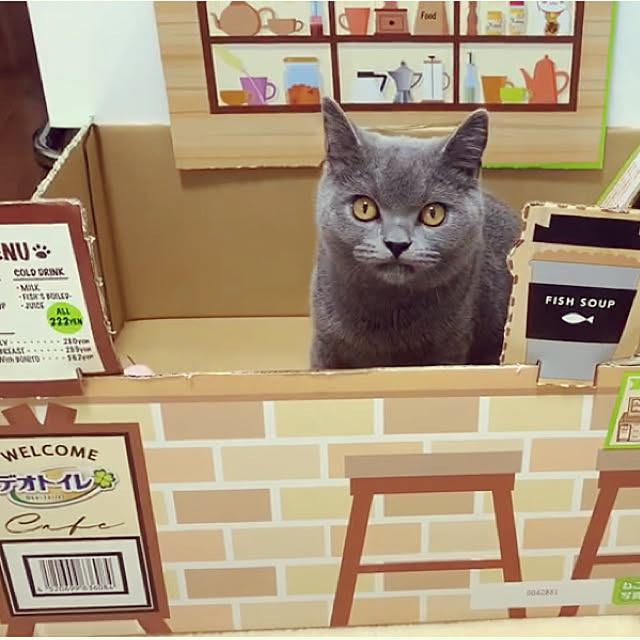 kittyさんの実例写真