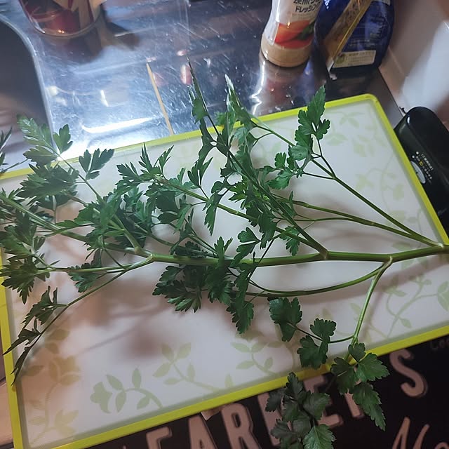 Tackunさんの実例写真