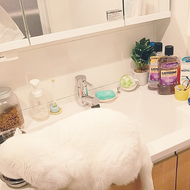 keikomokonさんの実例写真