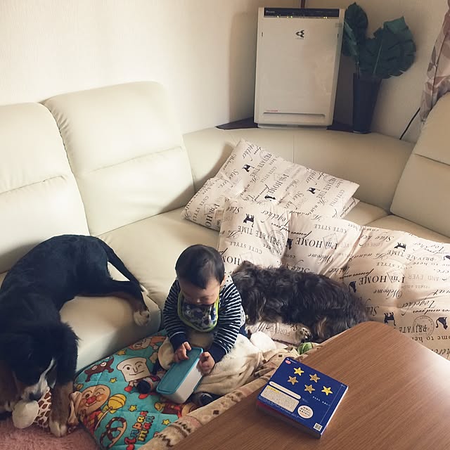 mikiさんの実例写真