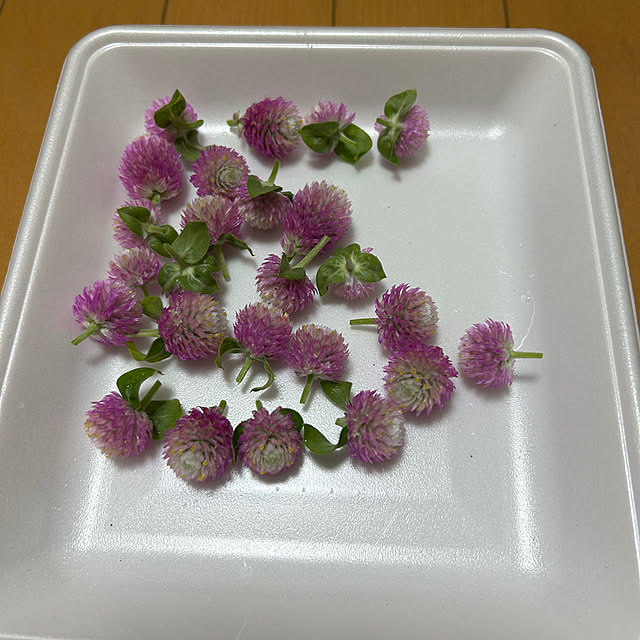 fumikoiさんの部屋