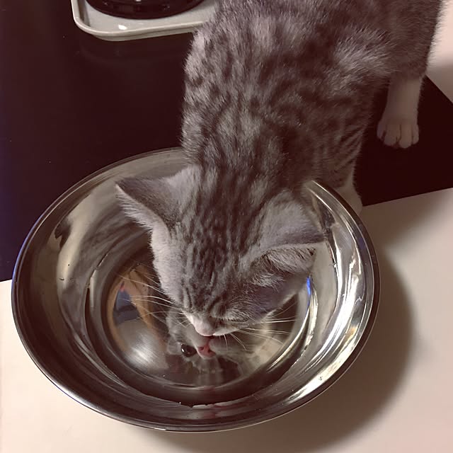 Shojiさんの実例写真