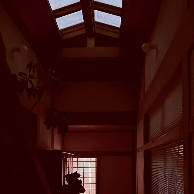 chacoさんの部屋