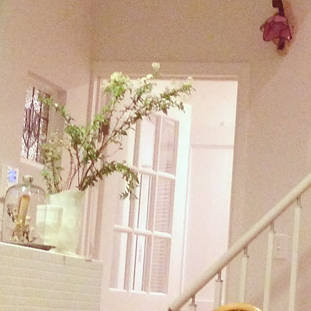 mi.MaMaさんの実例写真