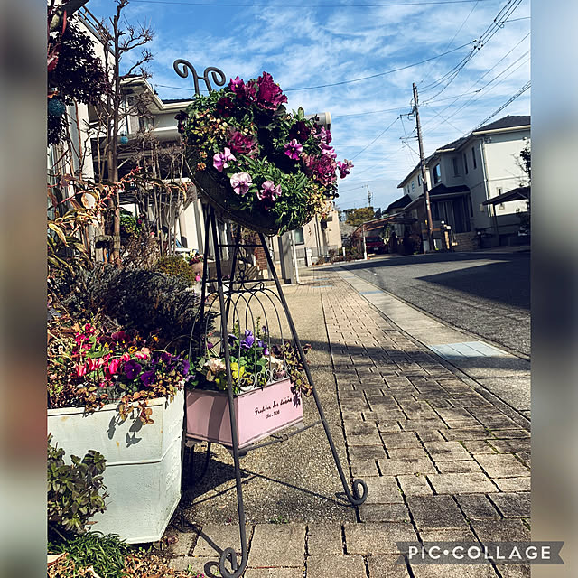 yukarin-gardenさんの実例写真